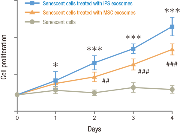 cellproliferation--png