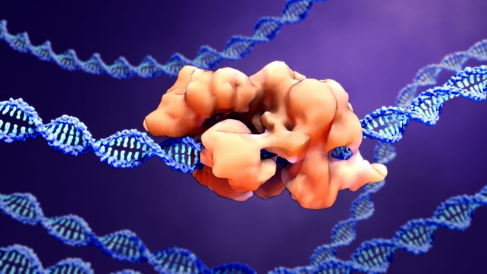 CRISPR/Cas9 gene editing DNA