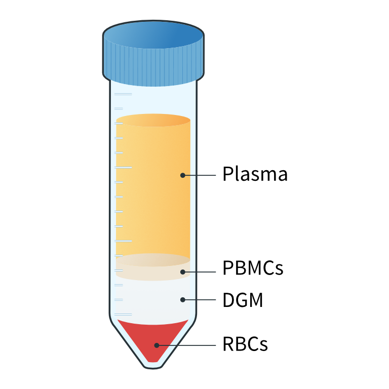 Fractionated whole blood after centrifugation