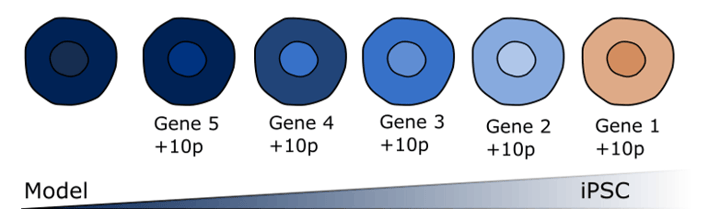 Multiplex gene editing with SNIPER means you can edit up to five genes simultaneously. 
