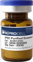 iPSC Purified Exosomes Lyophilized RCEVLY001