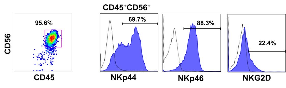 iPSC-derived NK cells Figure