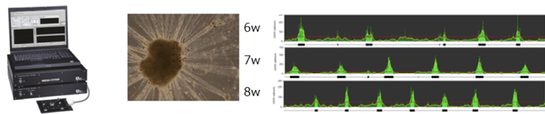 Graph of results from a multielectrode array assay