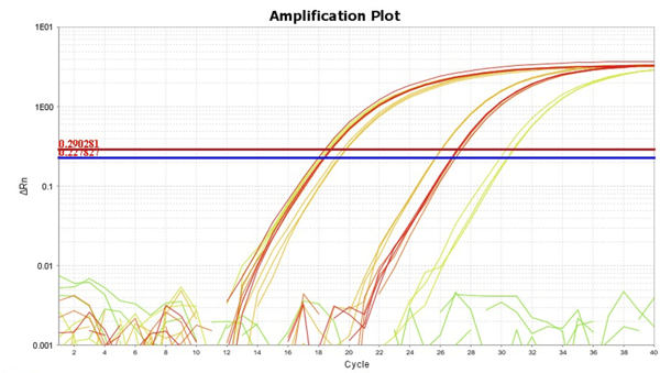 RT-PCR amplification plot (2)