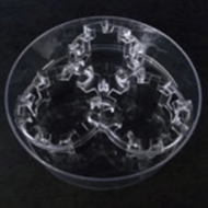 Alvetex well insert holder in deep Petri dish