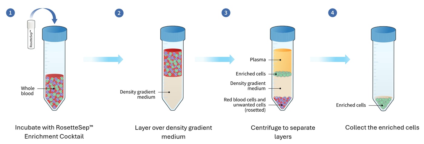 Clinical Drug Discovery - nonmagnetic cell isolation