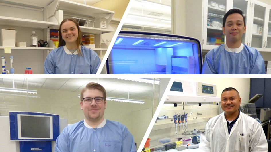 Diagnostic deveopers - staff