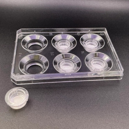 image-png-Sep-19-2025-01-55-22-2791-PM