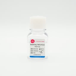 Coating Solution