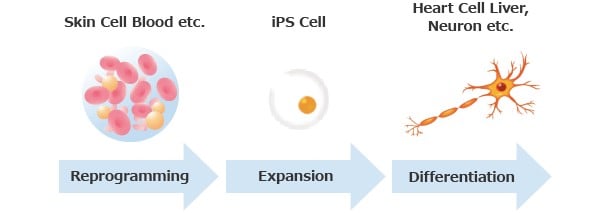 ir-competitive-edge-1