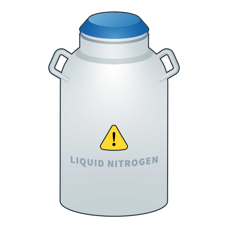 Isolated PBMCs are stored in liquid nitrogen long-term