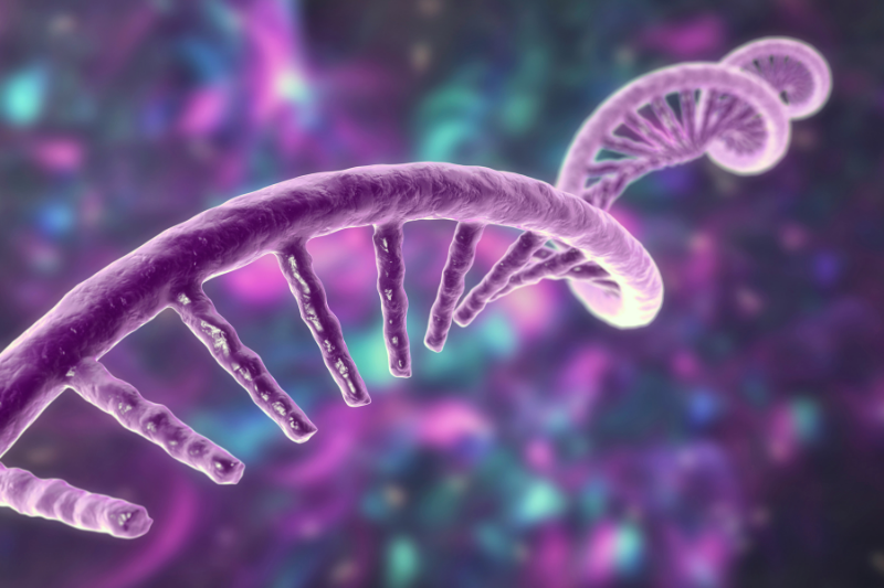 Why mRNA Reprogramming Is the Key to Safer and Faster iPSC Generation?