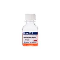 Neuro MQ Medium