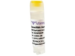 StemRNA™ Human iPSC SK012