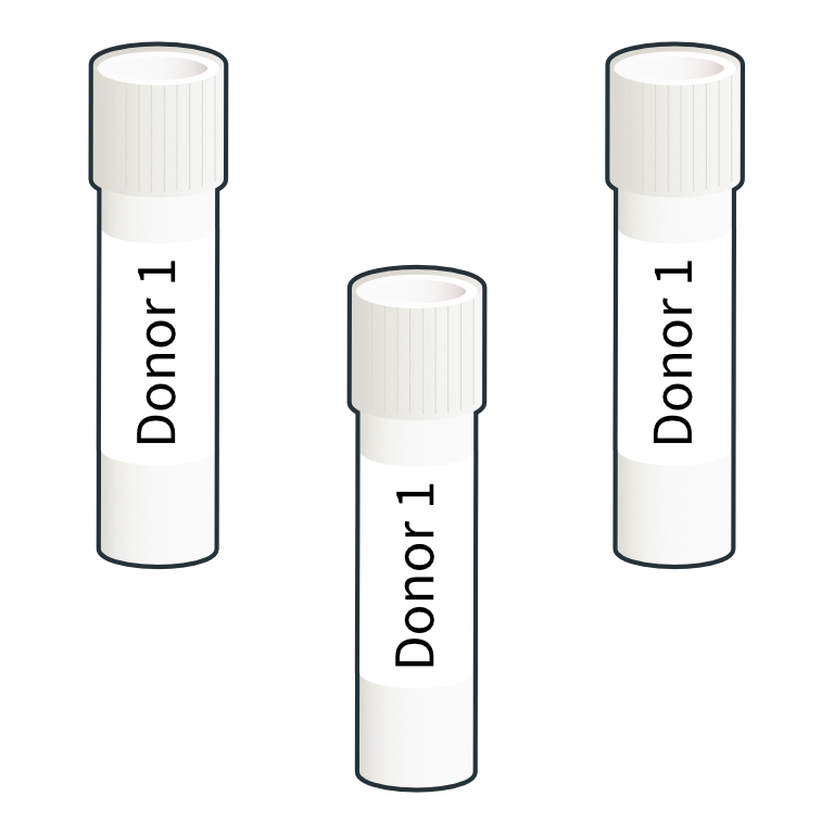Isolated PBMCs are labelled and frozen down to 150 Celsius