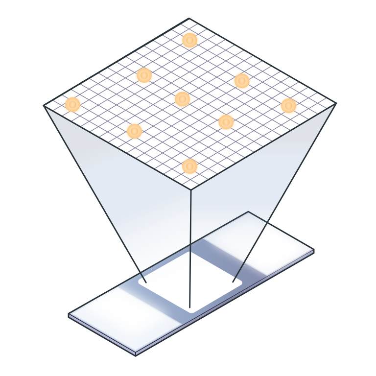 Diagram showing counting of PBMCs with a hemacytometer