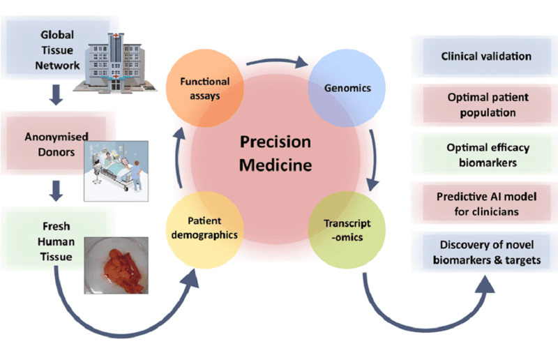 Precision Medicine Services