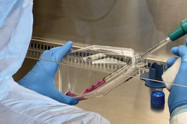 primary-msc-gmp-cell-manufacturing.jpg
