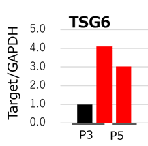 qPCR analysis of TSG6