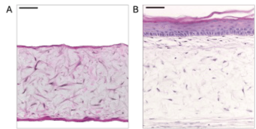 qkine-appnote-1-fig1a