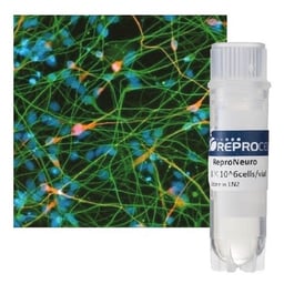 StemRNA™ Neuro – Human Neurons
