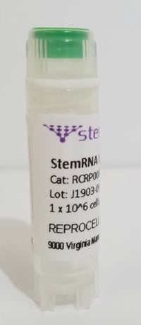 stemrna-human-ipsc-sk003-2-p493-429_medium