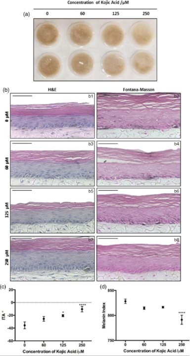 B127 - Kojic acid reduces pigmentation in vitro