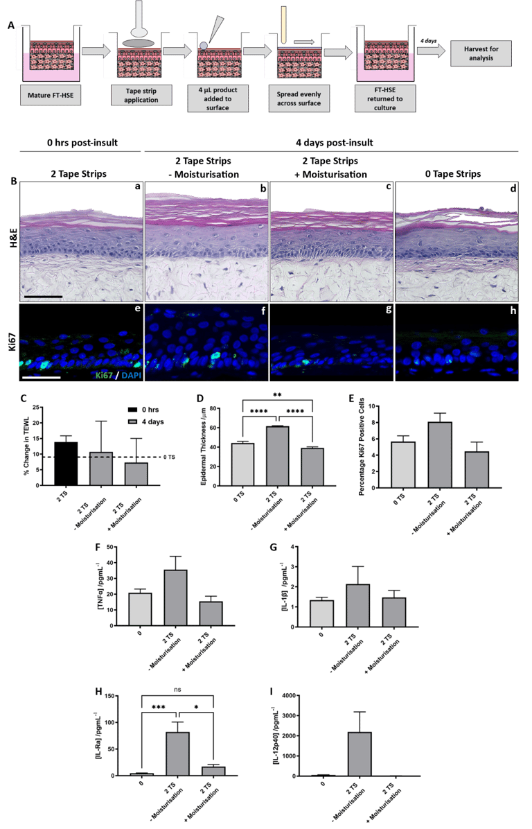 B128 - Schematic protocol depicting tape strip application and subsequent topical application
