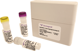 StemRNA™ 3rd Gen Reprogramming Kit