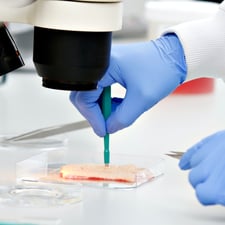 Leveraging Human Tissue Models with Preclinical and Drug Discovery CRO