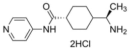 Stemolecule™ Y27632