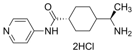 Stemolecule-04-0012