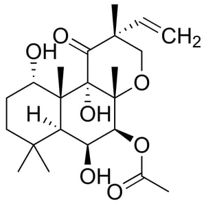 Stemolecule-04-0025