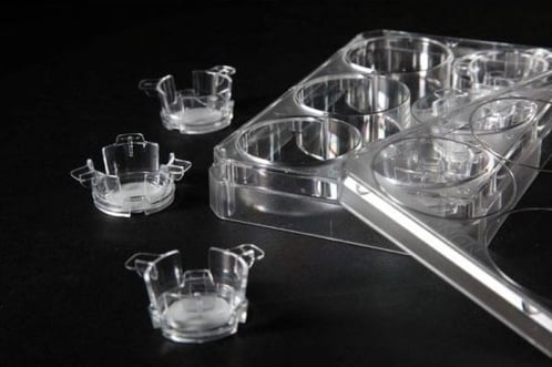 Alvetex Scaffold 6 well insert, AVP004
