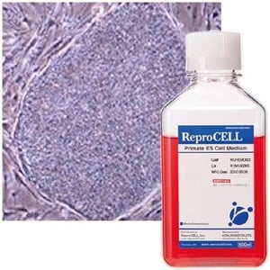 primate-es-cell-medium-p357-138_medium