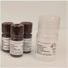 stemab-alkaline-phosphatase-staining-kit-ii-p194-78_medium