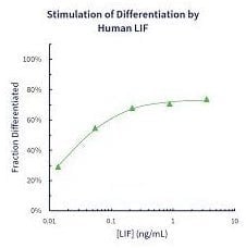 stemfactor-lif-human-recombinant-p208-168_medium