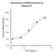 stemfactor-lif-mouse-recombinant-p207-167_medium