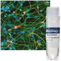 stemrna-neuro-p350-193_medium