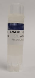 StemEdit™ Human iPSC non-HLA class 1 (B2M Homo KO)