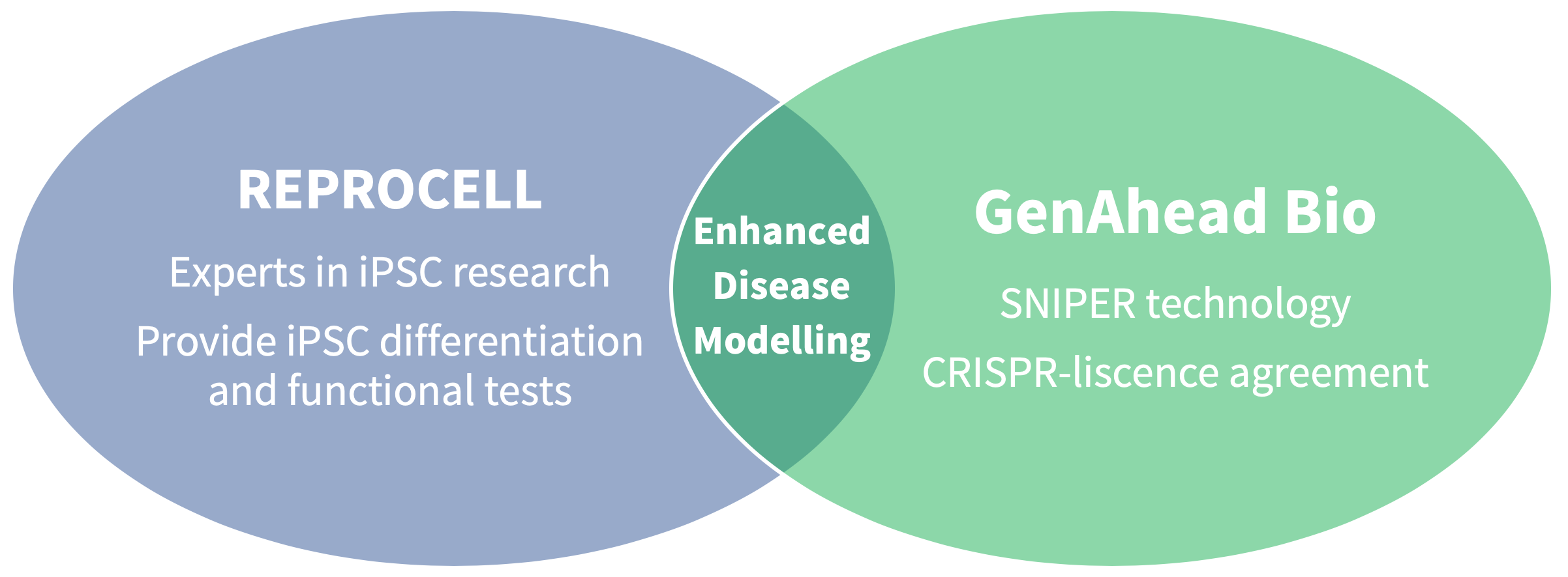 By combining the stem cell expertise of REPROCELL with the gene editing knowledge of GenAhead Bio, researchers can now access CRIPSR-SNIPER gene editing of iPSC cells.