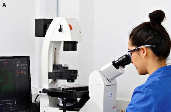 A female presenting operator using a fluorescent microscope 