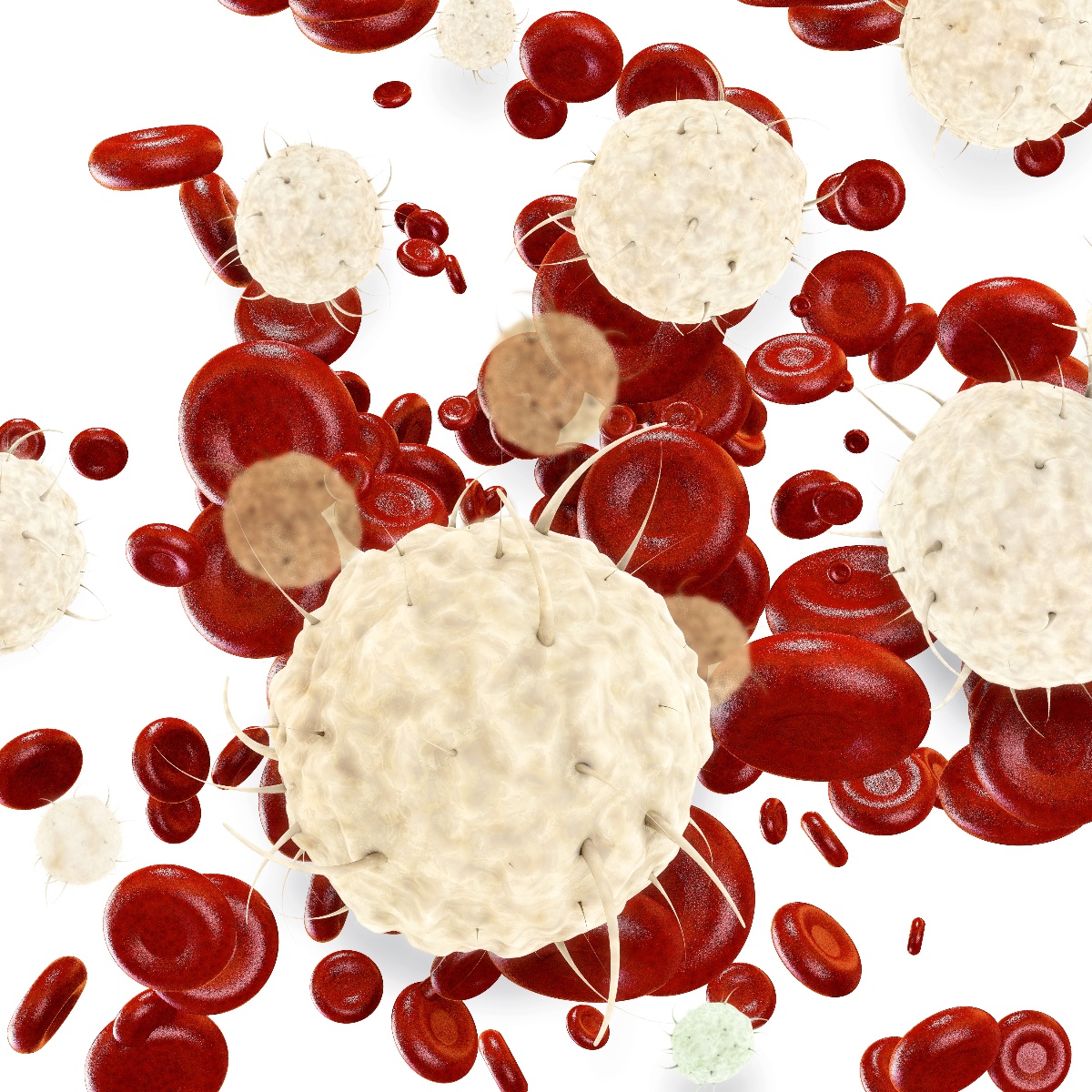 Blood cells stock image
