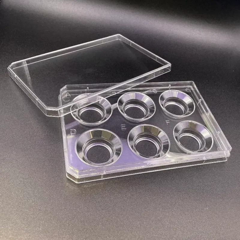 6-Well Holders for Alvetex® Advanced Modular Inserts, With Lid