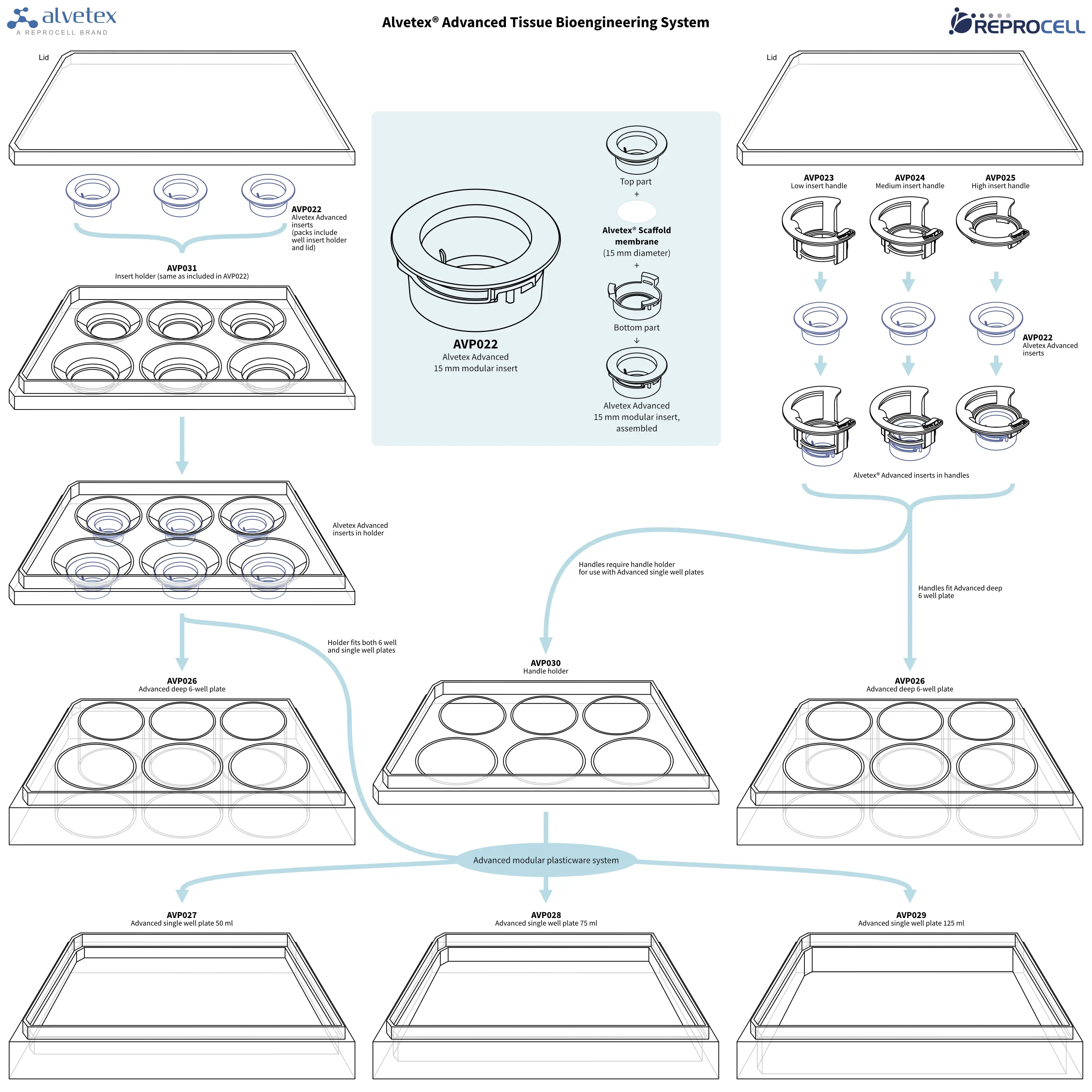 Alvetex Advanced Tissue Bioengineering System - overview