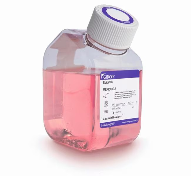 EpiLife™ Medium, with 60 μM calcium