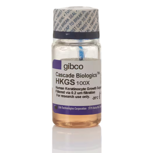 Human Keratinocyte Growth Supplement (HKGS)