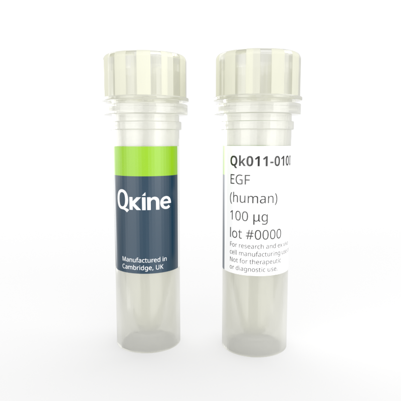 Recombinant human EGF protein