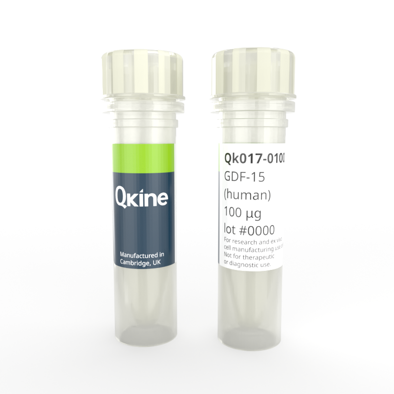 Recombinant human GDF-15 protein
