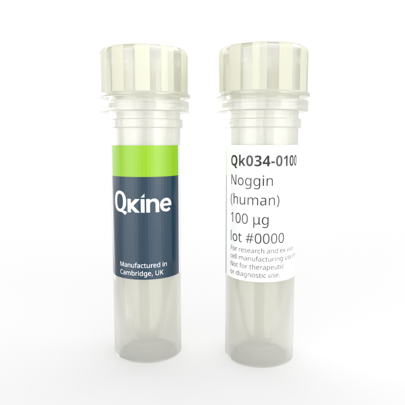 Recombinant human noggin protein
